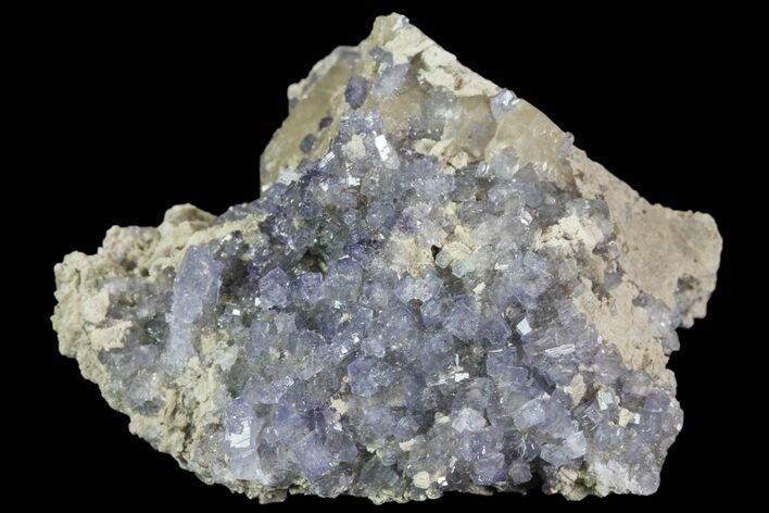 Purple/Gray Fluorite Cluster - Marblehead Quarry Ohio #81187
